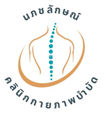 โลโก้ นภชลักษณ์ คลินิกกายภาพบำบัด